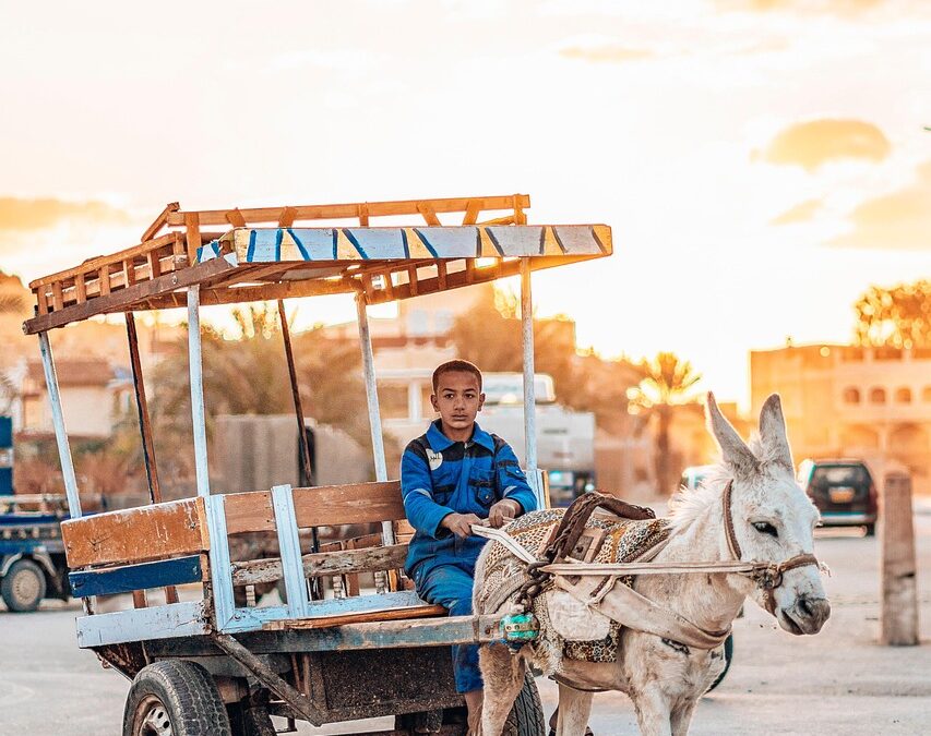 Pembinaan Usaha Mikro Kecil oleh PKK Cempaka Putih Barat