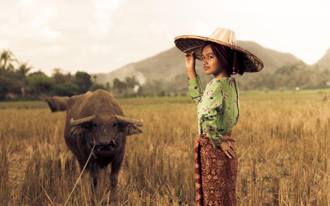 Pemberdayaan Ekonomi Perempuan oleh PKK di Desa Cempaka Putih Barat