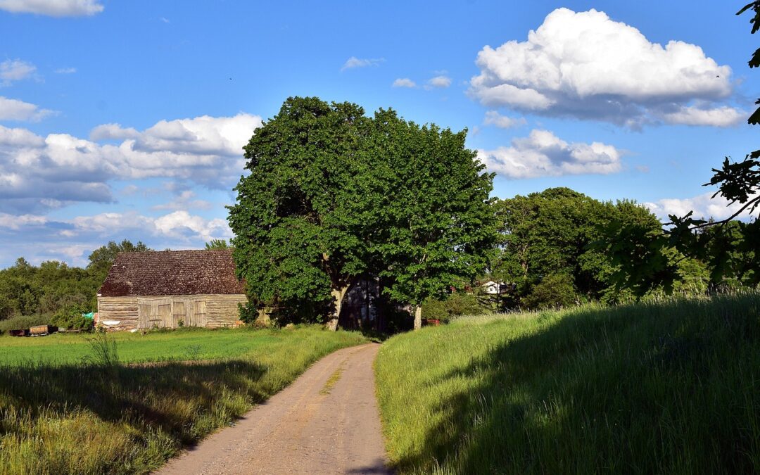 Studi Kasus Digitalisasi Pengelolaan Sumber Daya Alam di Cempaka Putih Barat
