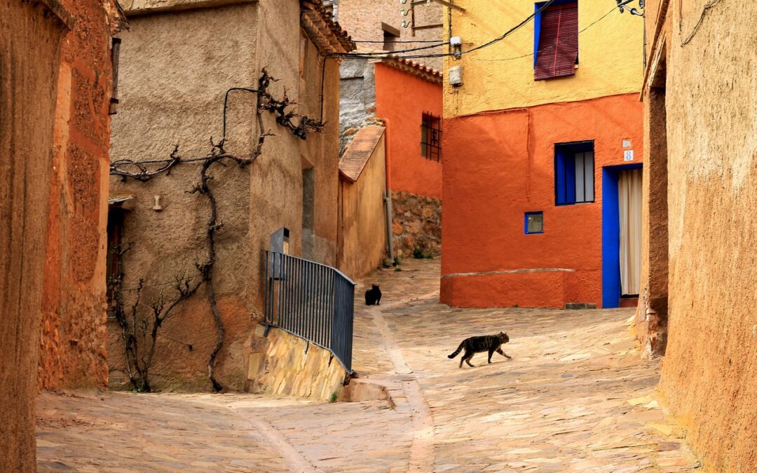 Solusi Digital untuk Pengelolaan Sampah di Desa Cempaka Putih Barat